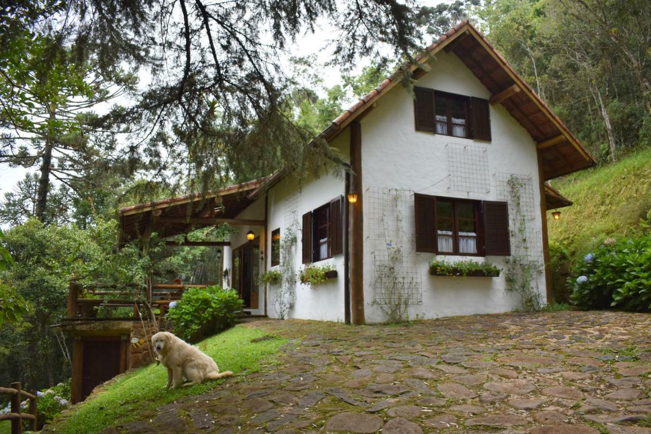 فيلا كونهافي Chalet Da Hortensias المظهر الخارجي الصورة