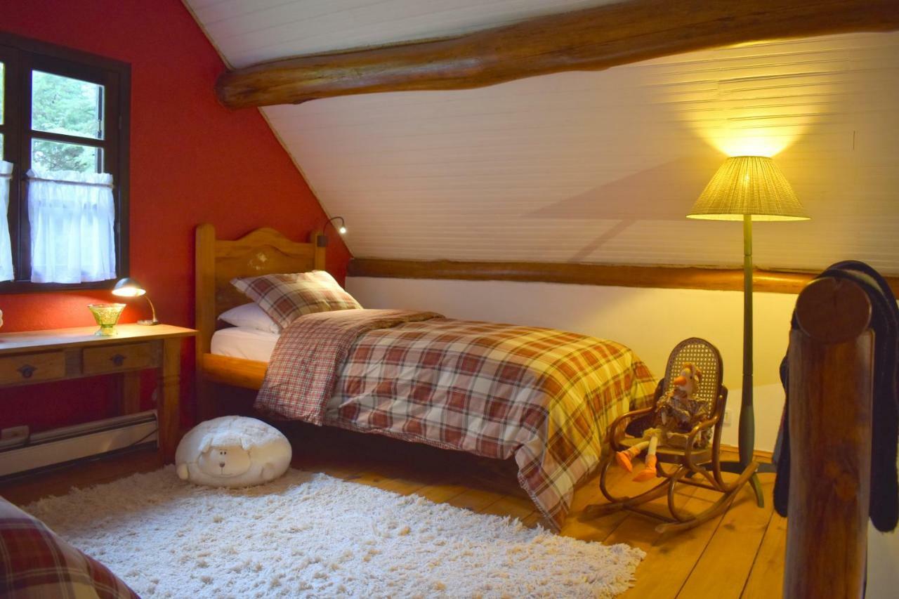 فيلا كونهافي Chalet Da Hortensias المظهر الخارجي الصورة