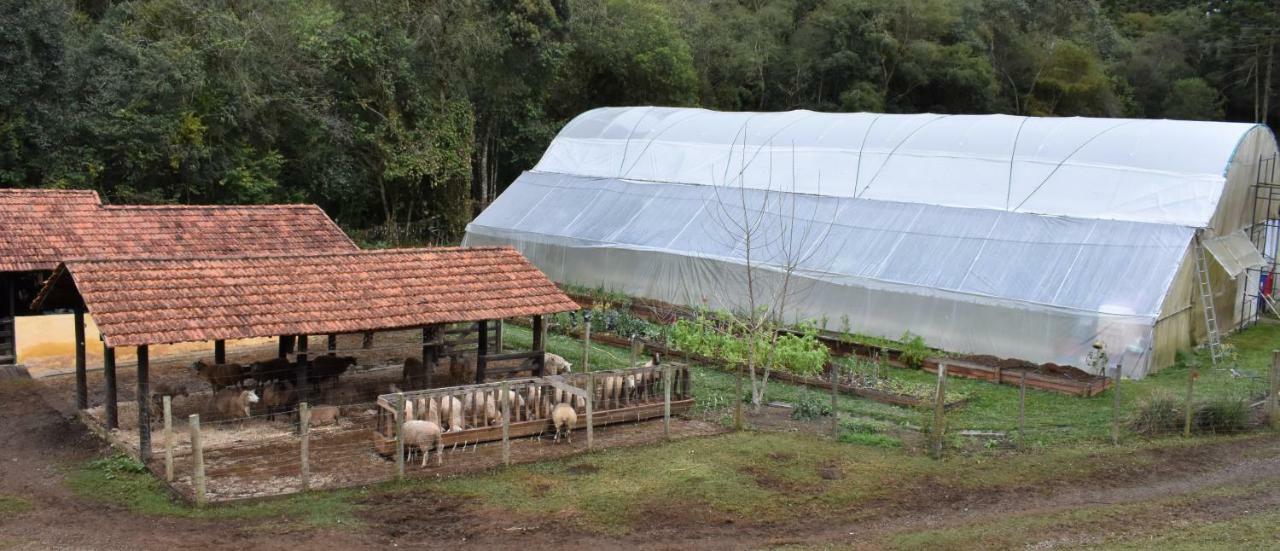 فيلا كونهافي Chalet Da Hortensias المظهر الخارجي الصورة